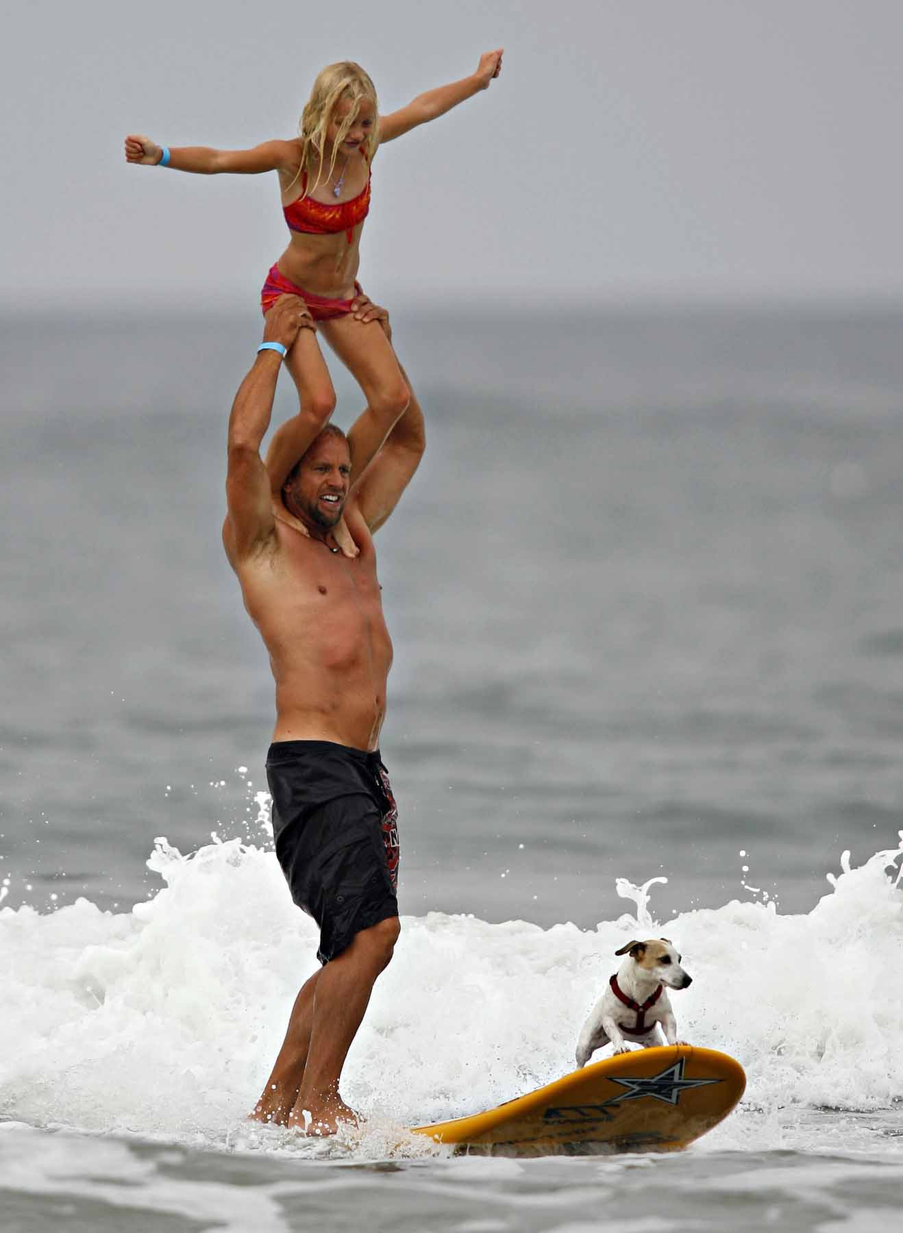 SURF DOG COMPETITION